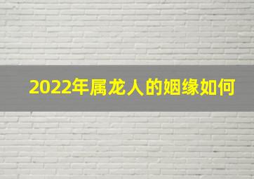 2022年属龙人的姻缘如何