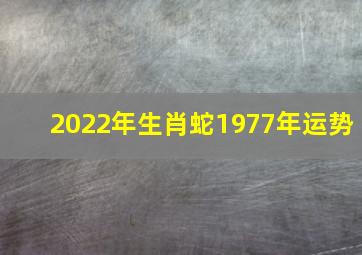 2022年生肖蛇1977年运势