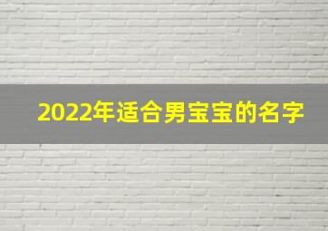 2022年适合男宝宝的名字