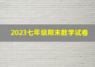 2023七年级期末数学试卷