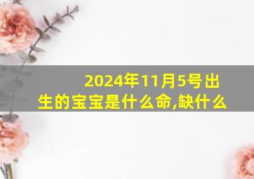 2024年11月5号出生的宝宝是什么命,缺什么