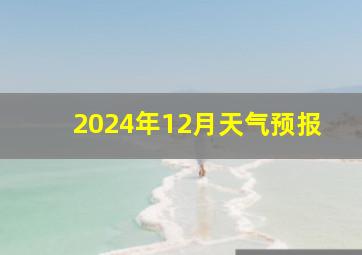 2024年12月天气预报