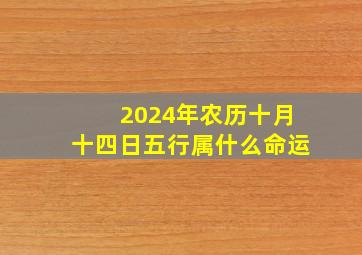 2024年农历十月十四日五行属什么命运