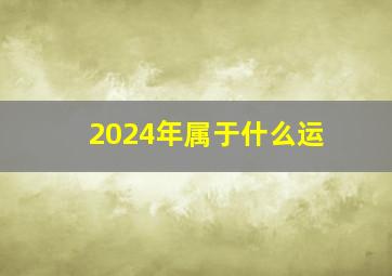 2024年属于什么运