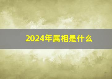 2024年属相是什么