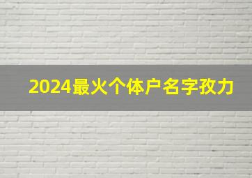 2024最火个体户名字孜力