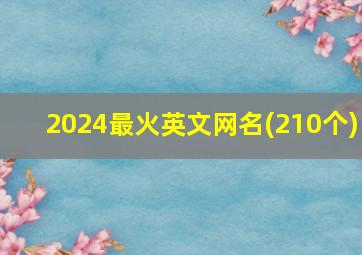 2024最火英文网名(210个)