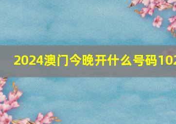 2024澳门今晚开什么号码102