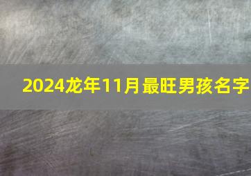 2024龙年11月最旺男孩名字