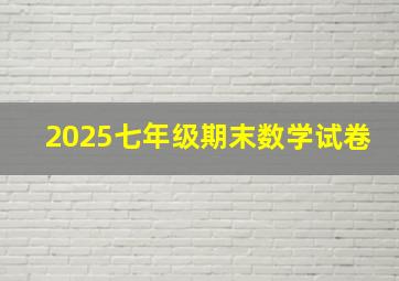 2025七年级期末数学试卷