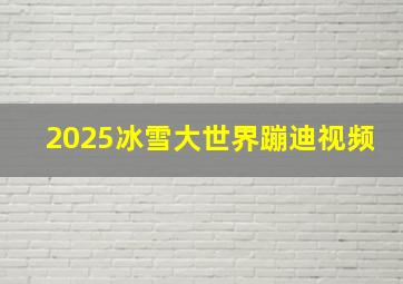 2025冰雪大世界蹦迪视频