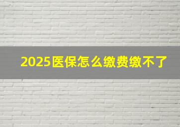 2025医保怎么缴费缴不了