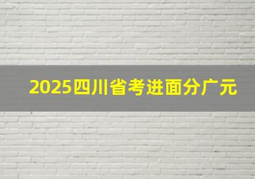 2025四川省考进面分广元