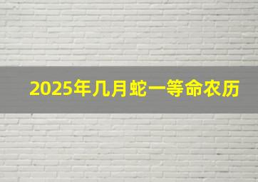 2025年几月蛇一等命农历