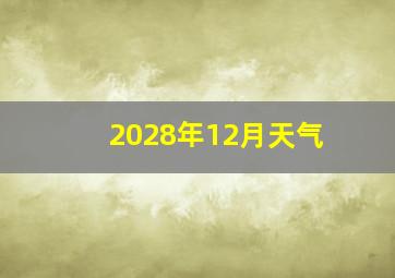 2028年12月天气