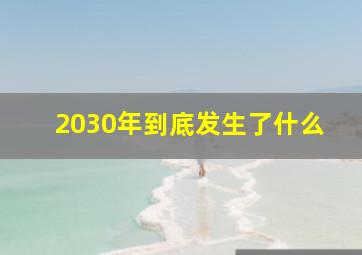 2030年到底发生了什么