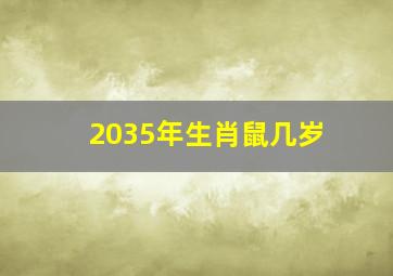 2035年生肖鼠几岁