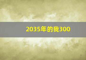 2035年的我300