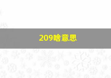 209啥意思