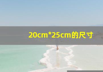 20cm*25cm的尺寸