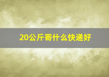 20公斤寄什么快递好