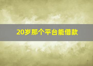 20岁那个平台能借款