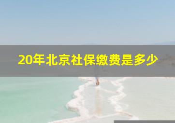 20年北京社保缴费是多少