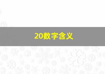 20数字含义