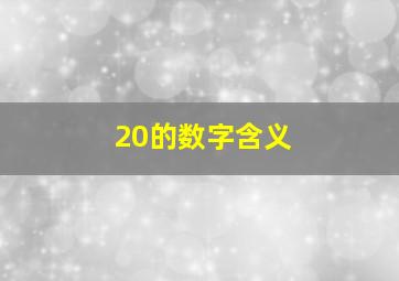 20的数字含义