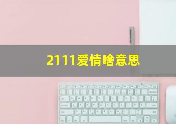 2111爱情啥意思