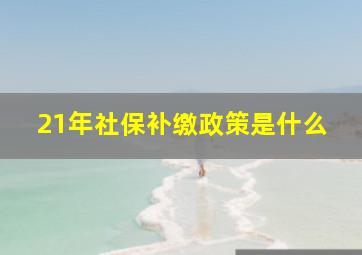 21年社保补缴政策是什么