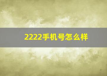 2222手机号怎么样