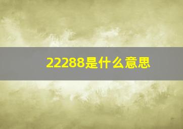 22288是什么意思