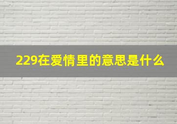 229在爱情里的意思是什么