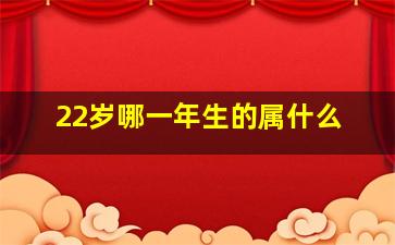 22岁哪一年生的属什么