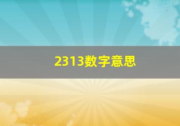 2313数字意思