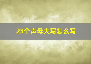 23个声母大写怎么写