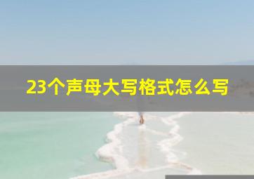 23个声母大写格式怎么写