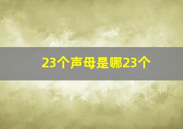 23个声母是哪23个