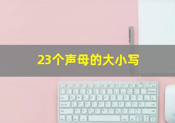 23个声母的大小写