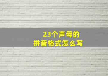 23个声母的拼音格式怎么写