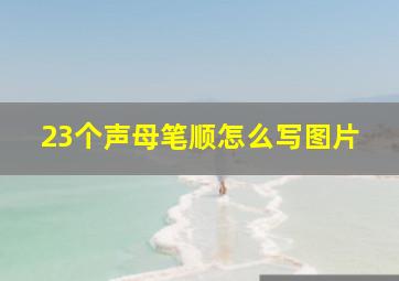 23个声母笔顺怎么写图片