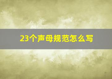 23个声母规范怎么写