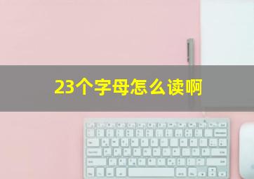 23个字母怎么读啊