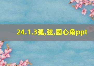 24.1.3弧,弦,圆心角ppt