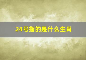 24号指的是什么生肖