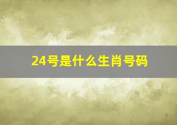 24号是什么生肖号码