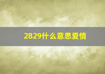 2829什么意思爱情