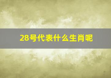 28号代表什么生肖呢