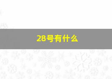 28号有什么